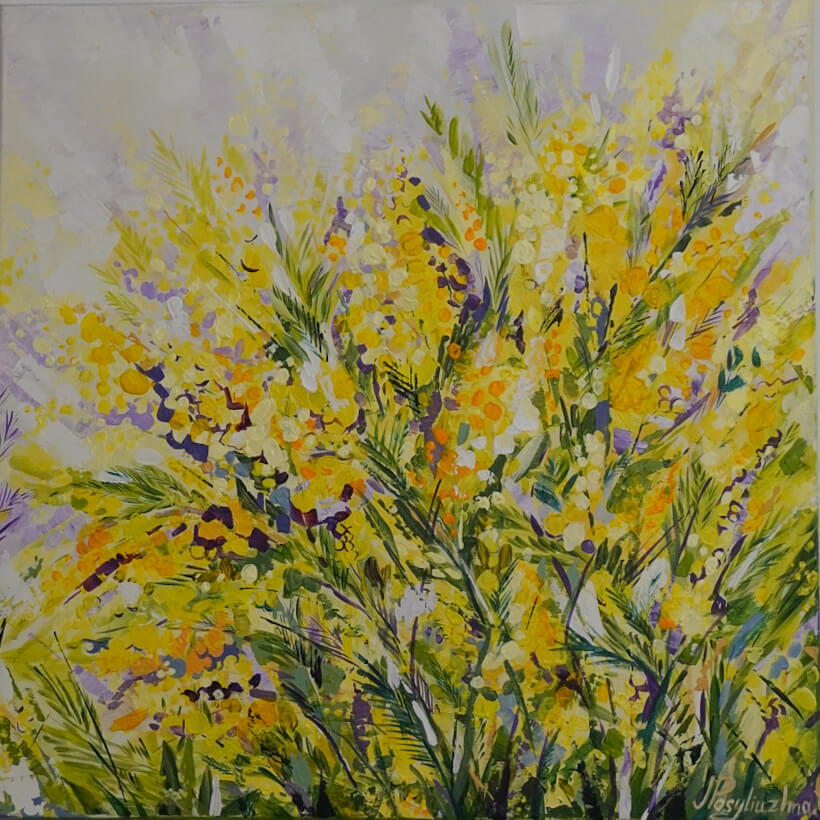 Mimoza – obraz 4